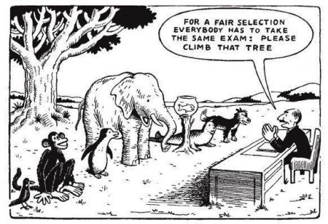 assessment-comic-climb-tree